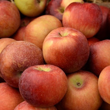 Load image into Gallery viewer, Apple - Empire
