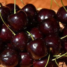 Load image into Gallery viewer, Cherry - Stella
