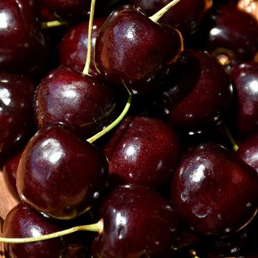 Cherry - Lapins