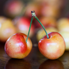 Load image into Gallery viewer, Cherry - Rainier
